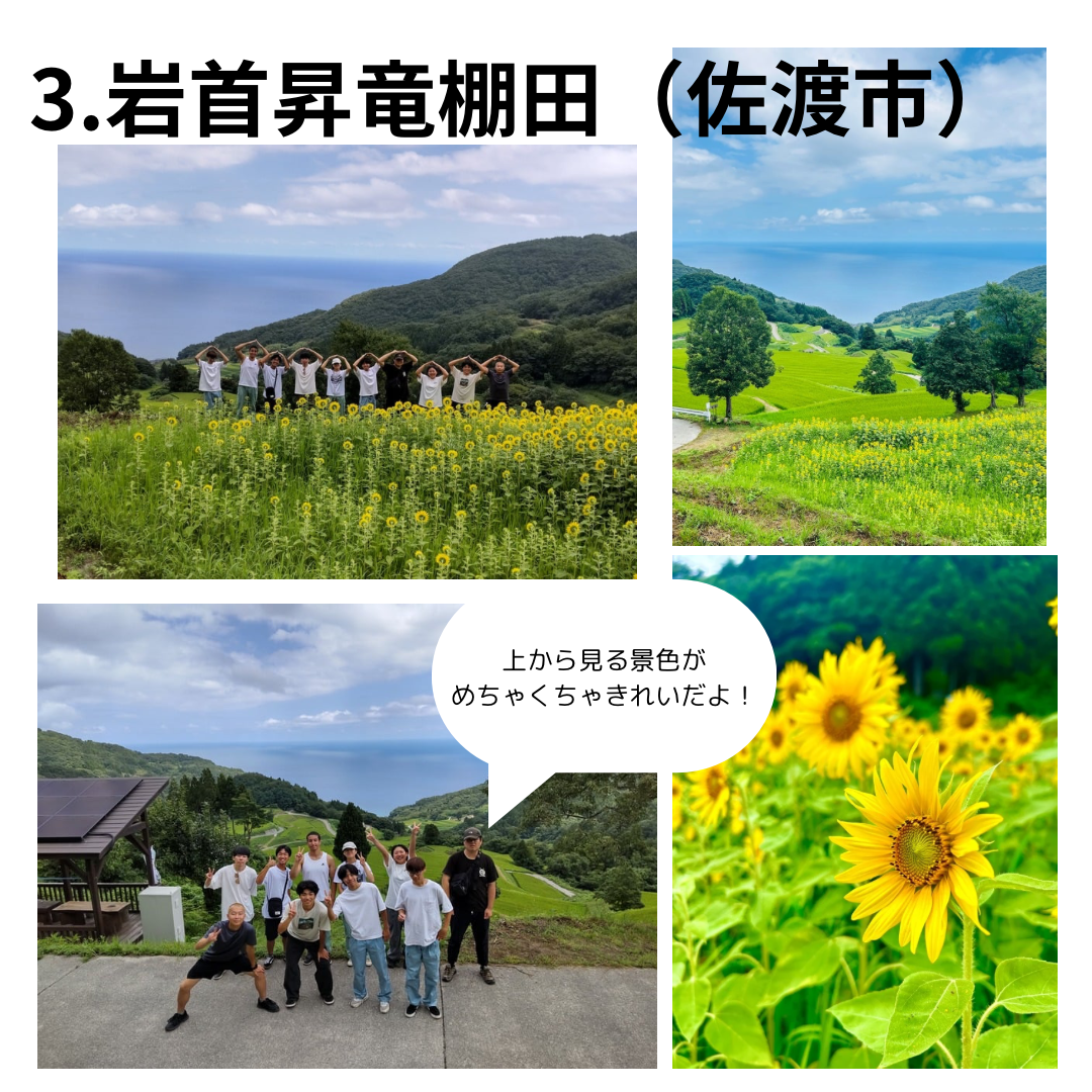 新潟スポット